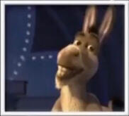 photo of donkey from Shrek