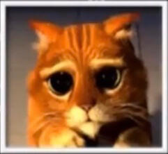 photo of puss in boots from Shrek