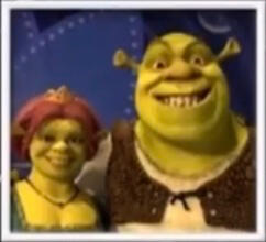 photo of Fiona and Shrek from Shrek